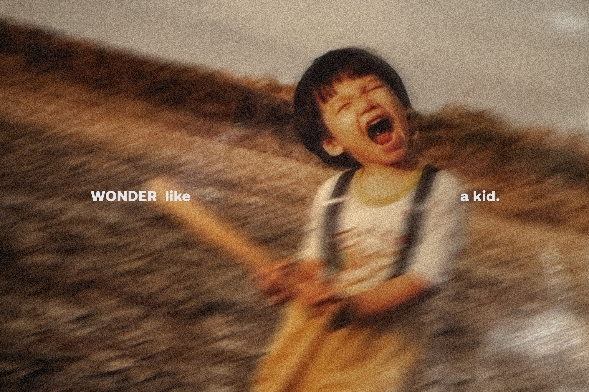 26-wonder-banner-d.jpg