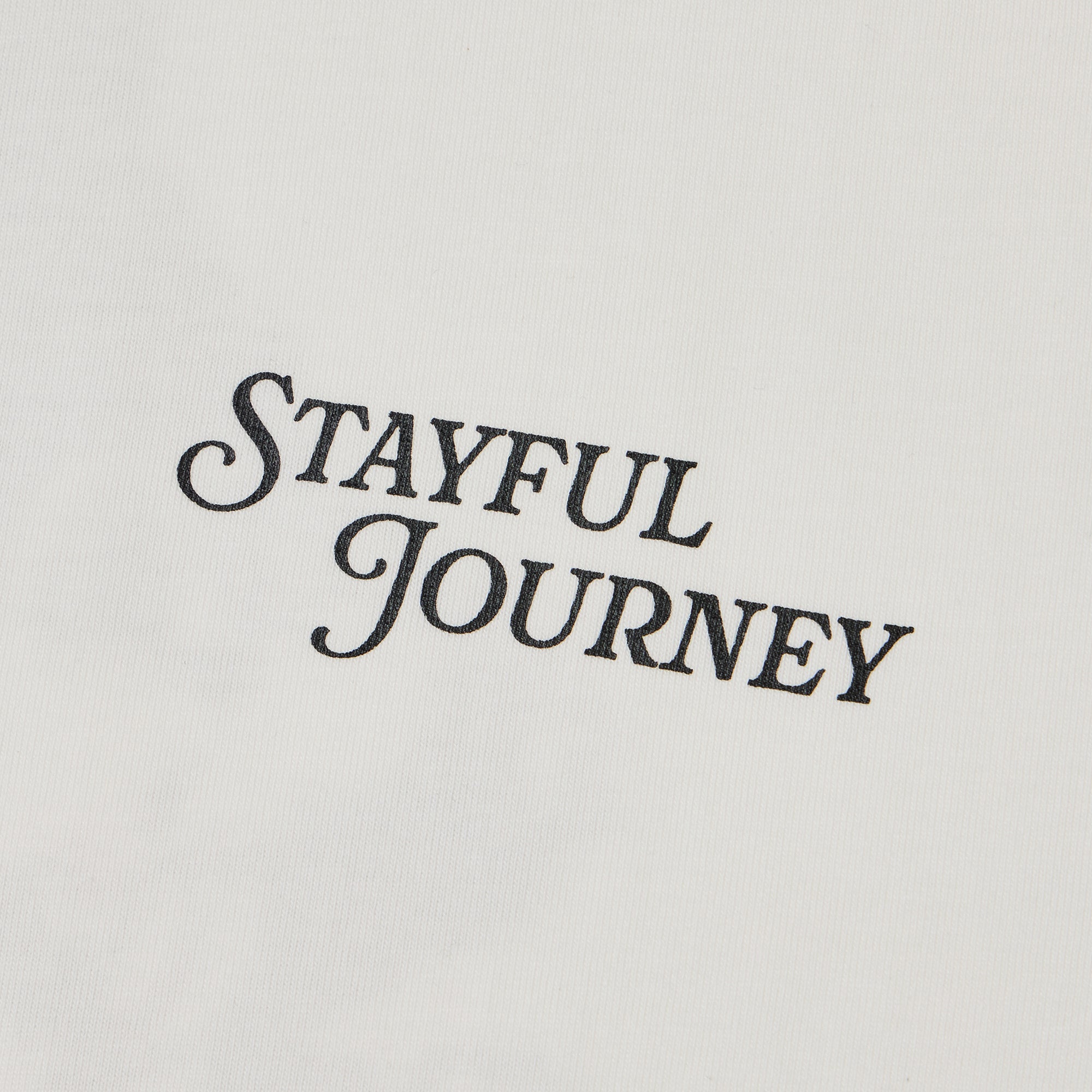 HUTCH x STAYFUL x FLUPPYOOZY Tee "PAUSED"